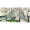 0.5m/S Speed Good Commercial Indoor Escalator Price