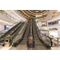 0.5m/S Speed Good Commercial Indoor Escalator Price