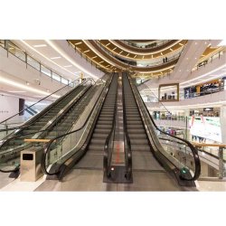 0.5m/S Speed Good Commercial Indoor Escalator Price