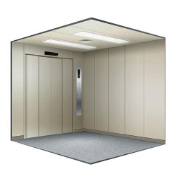 Center Opening Painted Steel Cargo Used Freight Elevator