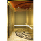 Stainless Steel Mirror Home Panoramic 6 Person Passenger Elevator