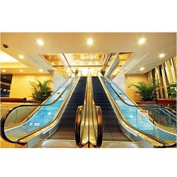 0.5m/S Speed Good Commercial Indoor Escalator Price