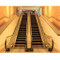 0.5m/S Speed Good Commercial Indoor Escalator Price