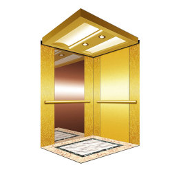 Small Machine Room Gearless Traction Passenger Elevator