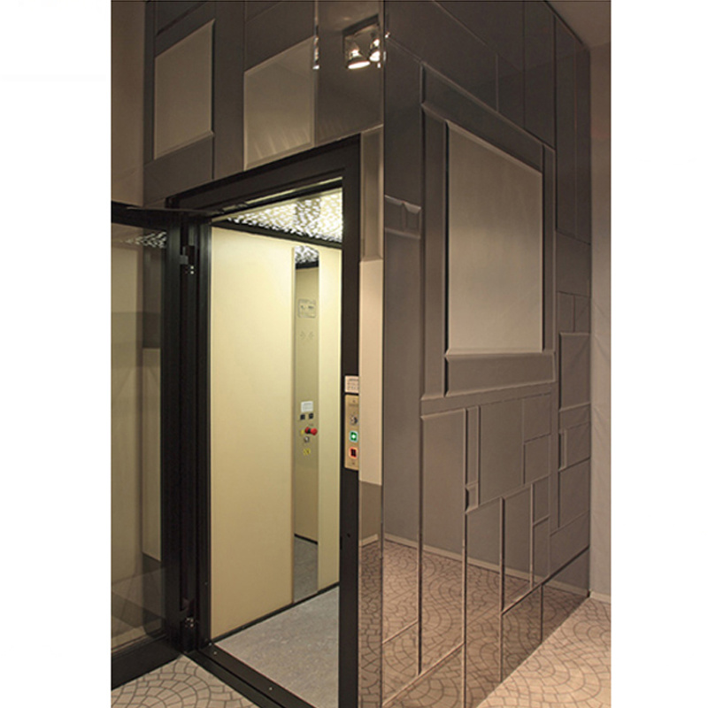 Customized Traction Villa Elevator Home Elevator