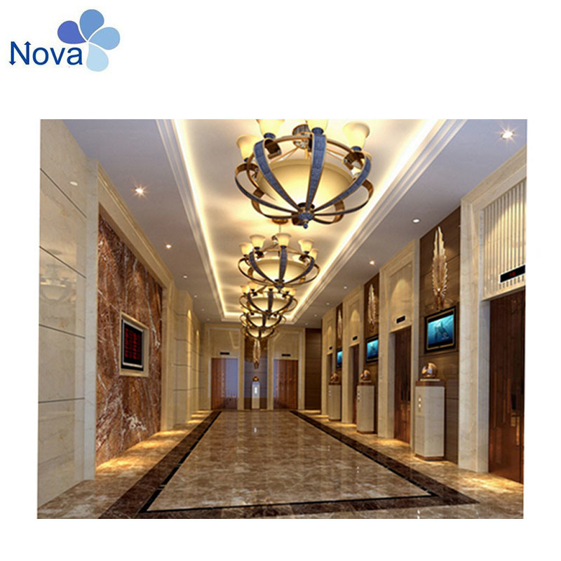 Cheap Price Outstanding Residential Elevator Price