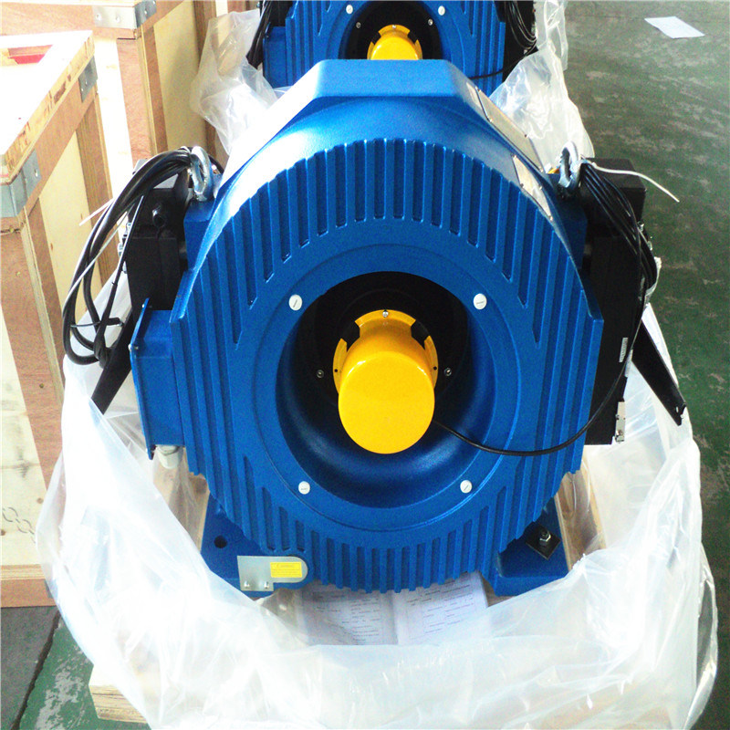 Direct Sale 630kg Elevator Parts Grealess Traction Machine