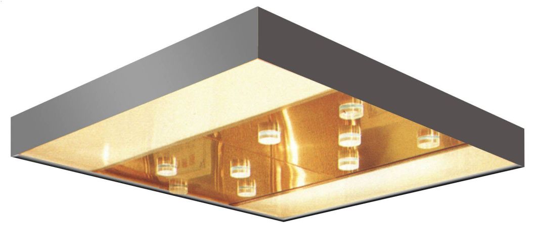 Stainless Steel Elevator Ceiling Panels with LED Light