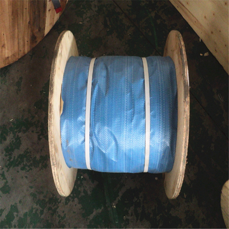 Direct Fctory Price Galvanized 8mm Steel Wire Rope