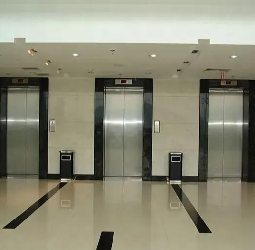 Super Quality Low Noise Customize 1000kgs Passenger Elevator Lift for Sale