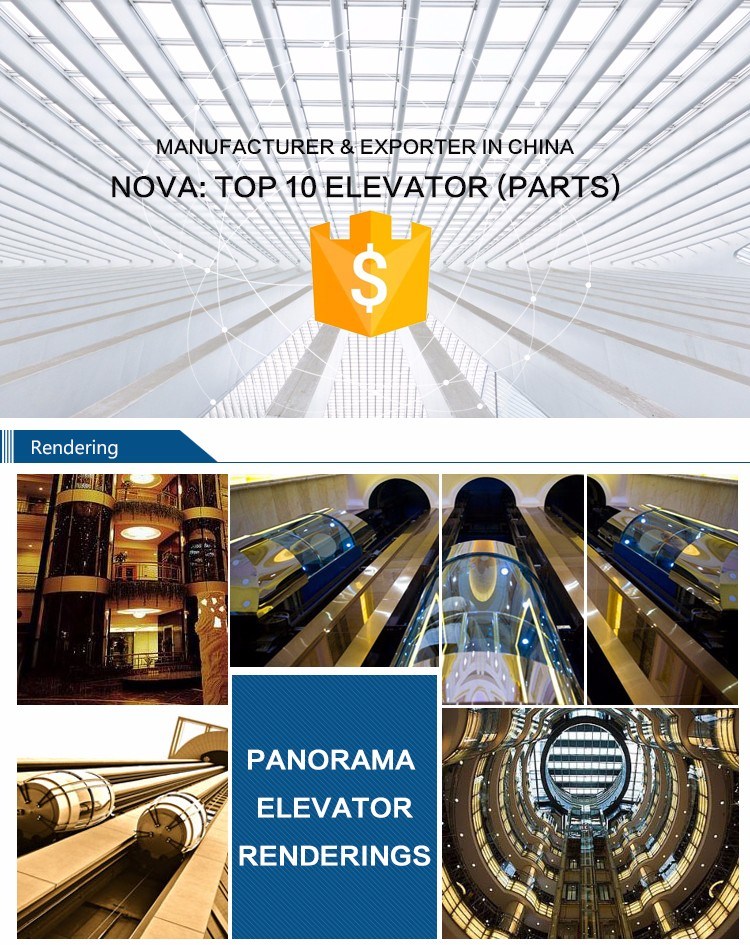 Decorative Small Elevators for Homes Domestic Complete Lift