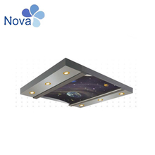 Stainless Steel Cabin Decoration Car Ceiling for Choose