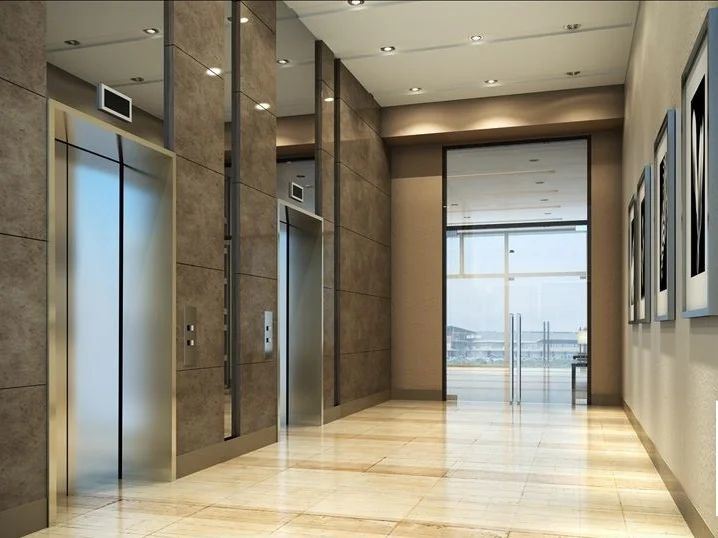 Hot Sale Villa Home Elevator and Passenger Elevator