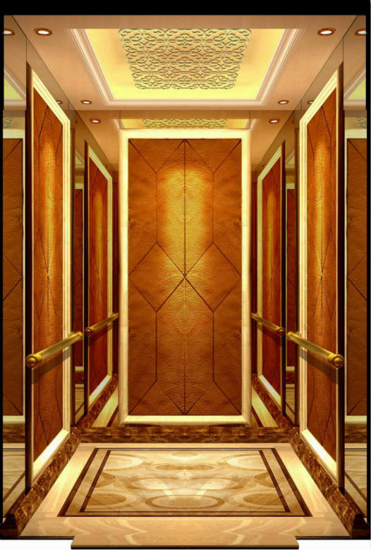 Stainless Steel Passager Lift Elevator Cabin with Floor and Ceiling