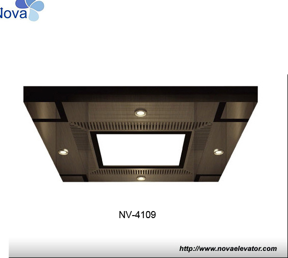 Newest Elevator Cabin Decoration Lift Ceiling Design Elevator Ceiling for Sale