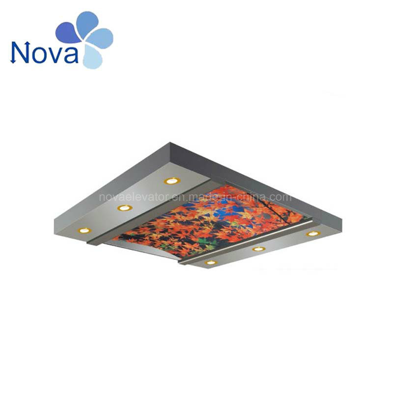 Ad Passenger Lift Car Cabin Car Ceiling