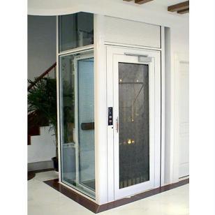 Home Elevator Cheap Price 800kg Villa Elevator with High Quality
