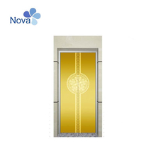 Ti-Gold Mirror Etched Elevator Landing Door Panel