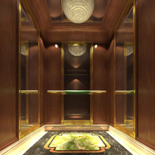 6-10 Persons Passenger Lift Luxurious Etching S. S Elevator Cabin