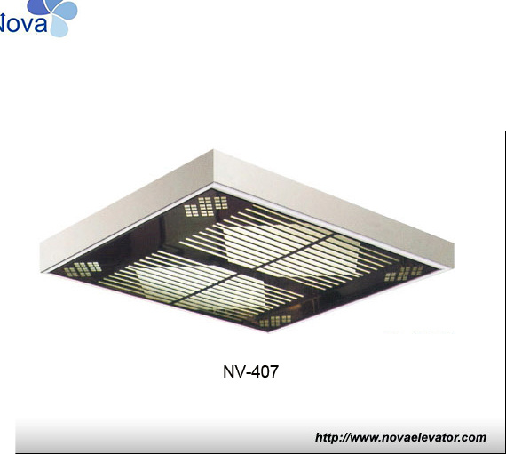 Hot Selling Elevator Cabin Decoration Lift Car Ceiling for Passenger Cabin with Light