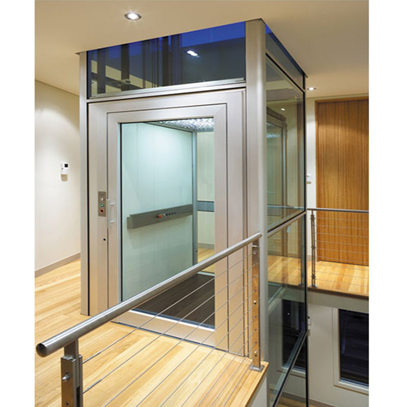 Customized Traction Villa Elevator Home Elevator