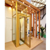 Hot Sale Villa Home Elevator and Passenger Elevator