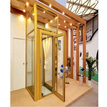Hot Sale Villa Home Elevator and Passenger Elevator