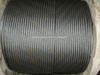 Elevator Galvanized Steel Wire Rope for Elevator