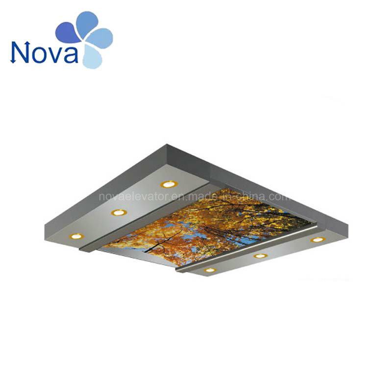 Ad Passenger Lift Car Cabin Car Ceiling