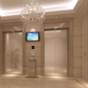 600kgs High Quality Passenger Elevator Lifts with Competitive Price for Sale