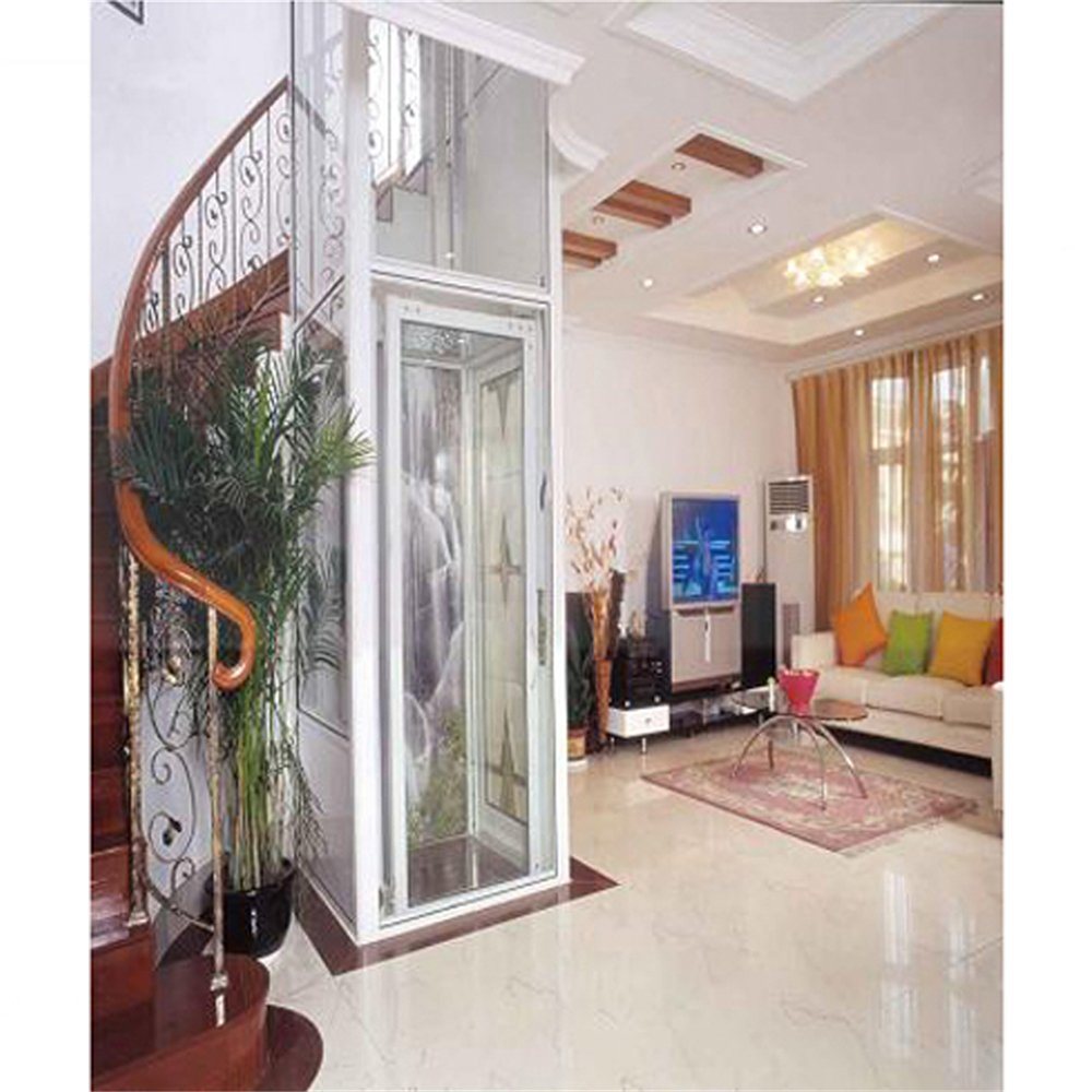 China with Deceleration Device Nova Standard Export Package Passenger Lift Elevator