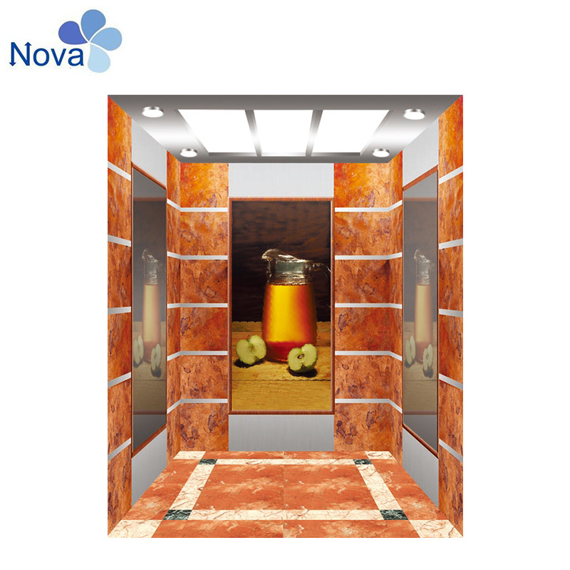 Best Selling Stainless Steel / Painted Elevator Cabin