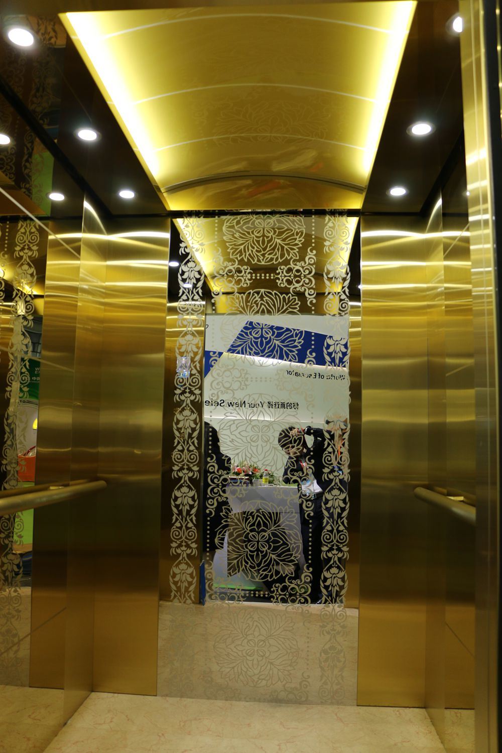 Hot Sale Villa Home Elevator and Passenger Elevator