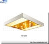 Hot Selling Elevator Cabin Decoration Lift Car Ceiling for Passenger Cabin with Light