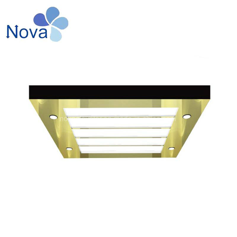 Luxurious Decoration Cabin Ceiling with Car Top Panel