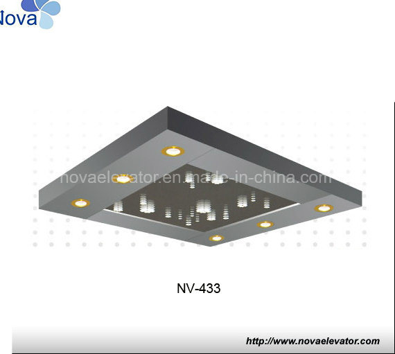All Size Passenger Lift Cabin Car Decoration Ceiling