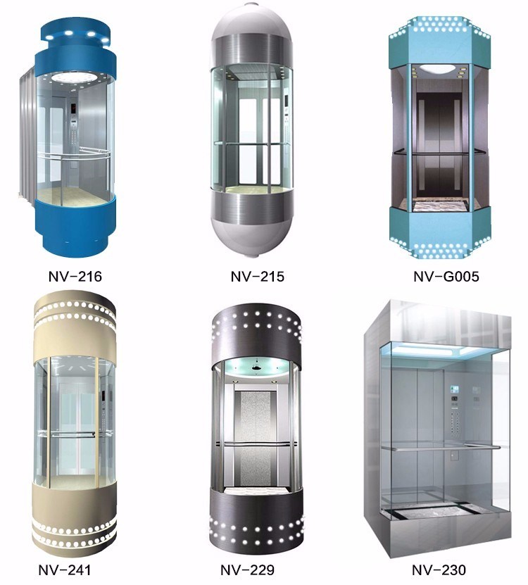 Decorative Small Elevators for Homes Domestic Complete Lift