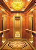 Professional Used Residential Elevators Human Mall Lift for Sale