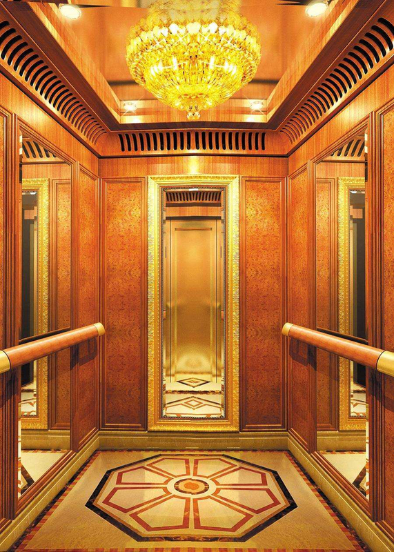 Professional Used Residential Elevators Human Mall Lift for Sale