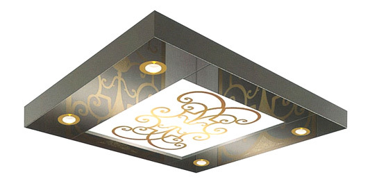 Stainless Steel Elevator Ceiling Panels with LED Light
