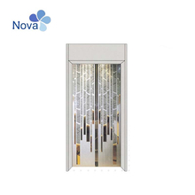 Stainless Steel Hairline S/S Door Panel with Good Selling