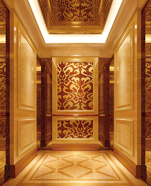 Best Selling Stainless Steel / Painted Elevator Cabin