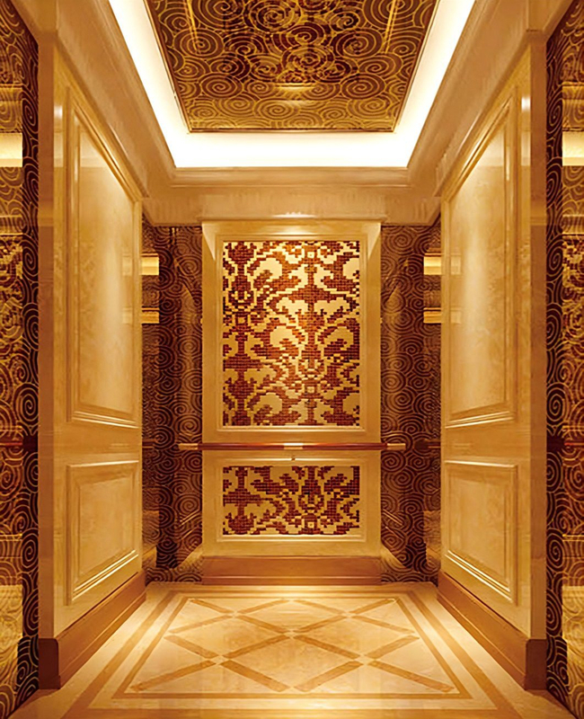 Best Selling Stainless Steel / Painted Elevator Cabin
