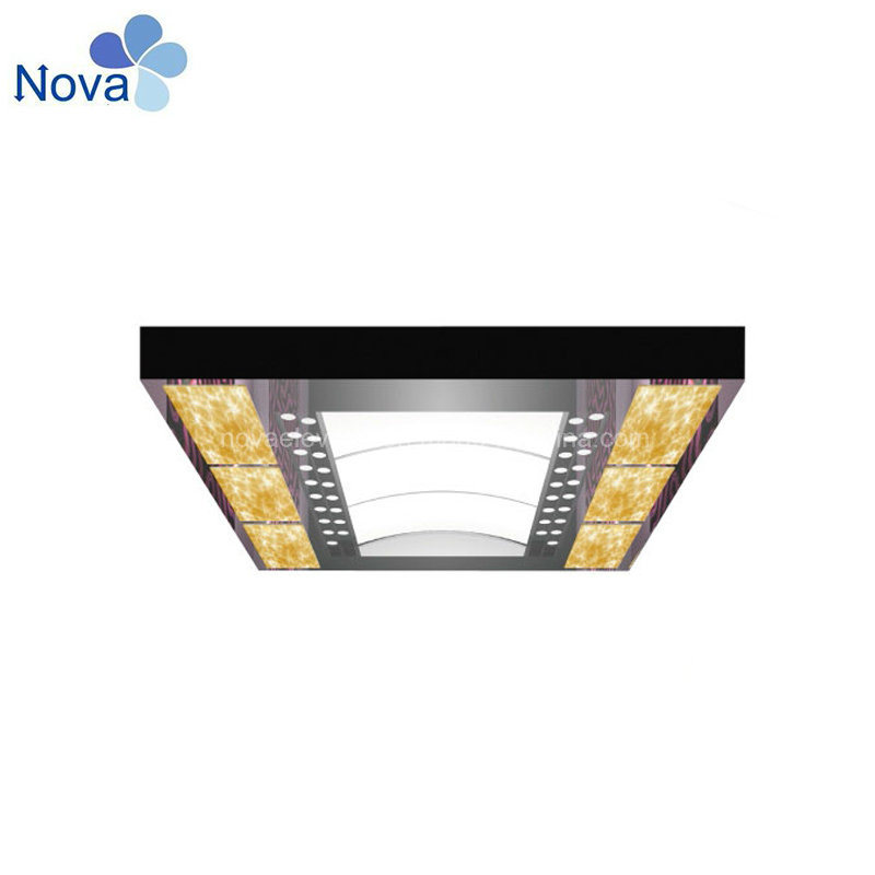 Decoration Shaft Components Elevator Door Drive Price Cabin Ceiling Lift