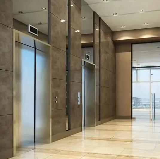 Super Quality Low Noise Customize 1000kgs Passenger Elevator Lift for Sale